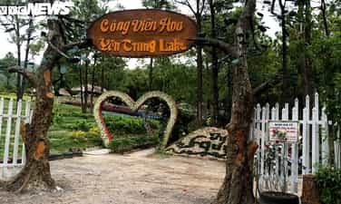 Nắng vàng, thông xanh nơi “Đà Lạt thu nhỏ” giữa lòng Quảng Ninh