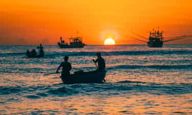 Chợ cá lớn nhất Quảng Nam lúc sáng sớm