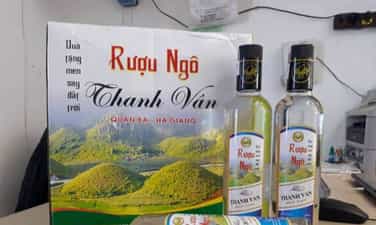02 | Rượu ngô vàng men lá đặc sản Hà Giang Thơm ngon | Bán buôn bán lẻ | Ngô Thanh Rượu Ngô Men Lá
