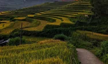 塔岭村