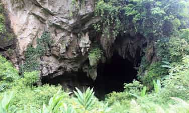 Động Hàm Rồng