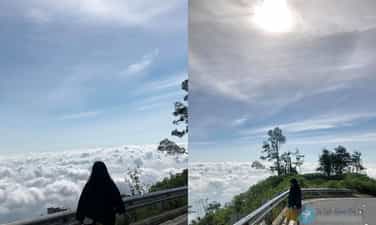 巴维的浮云海，游客在河内寻找像大叻那样的美丽照片