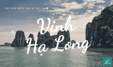 Bật mí 8+ điểm du lịch tại Vĩnh Long đẹp mê mẩn không thể bỏ lỡ
