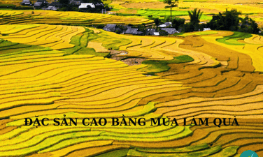 Đi du lịch tại Cao Bằng thì mua gì về làm quà?