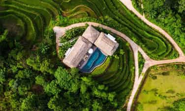 阿瓦纳静修原始森林