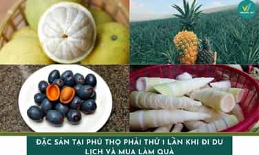phu的专业旅行和购买时必须尝试一次