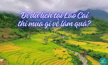 在老行旅行,买什么作为礼物?