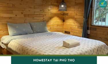 Phu Tho美丽，廉价价格的前21个寄宿家庭是最受欢迎的