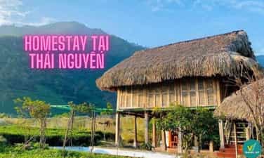Top 7 Homestay tại Thái Nguyên đẹp đốn gục trái tim mọi tín đồ xê dịch