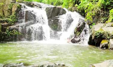 AO Gioi -Suoi Tien
