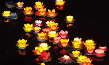Lantern Festival (Mid-Autumn Festival)