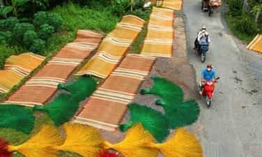 Làng chiếu Định Yên