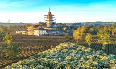 Buu Minh Pagoda