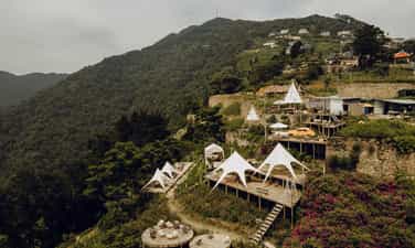 Lala Land Tam Dao