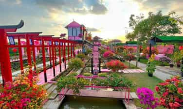 Pink House