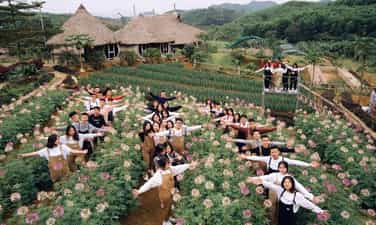 金牛农场