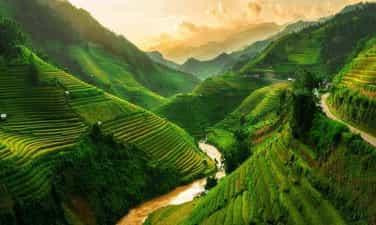 Bản Mòng