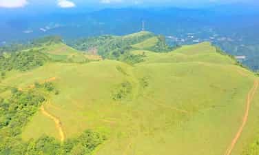 肺肺草山