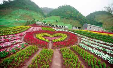 热带花园Moc Chau