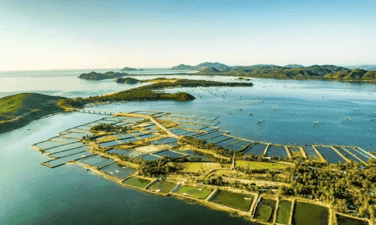 o Loan Lagoon