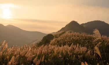 征服芦苇草天堂之旅全景 - 发现滑翔伞的爱好
