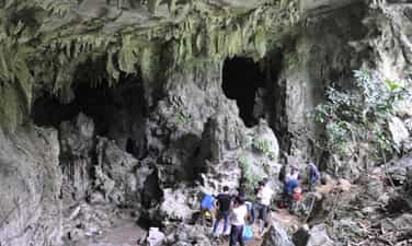 Động Dơi