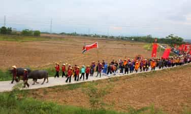 Shepherd's Festival