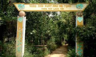 Làng cổ Túy Loan
