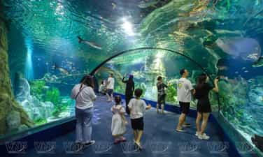 Lotte World Hanoi Aquarium