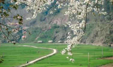 Bản du lịch cộng đồng Nà Sự