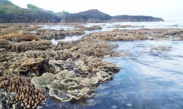 An Cuong fishing village