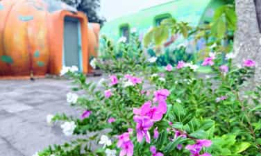 Da Lat Tien Canh Soc Son