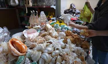 Chợ Đầm Nha Trang
