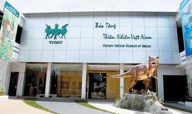 Vietnam Museum of Nature