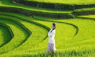 Đồi Móng Ngựa