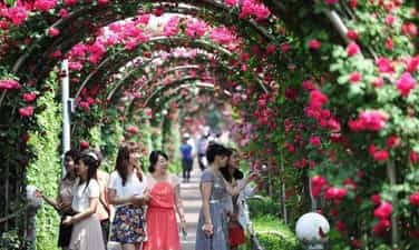 Rose Park
