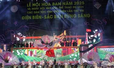 디엔비엔 꽃축제 2026