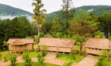 Elephant Mountain Pine Forest Tourist Area