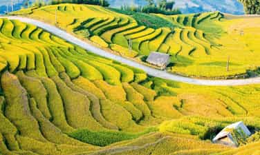 Lễ hội mùa Thu Y Tý 2026