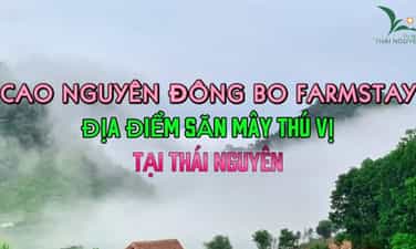 Dong Bo farmstay plateau
