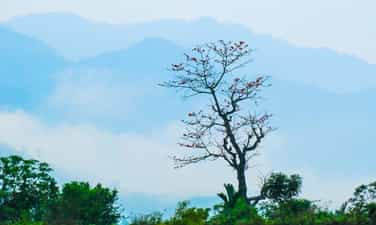 チュオンソンドン山頂の雲狩りシーズン