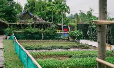 5Ku Farm