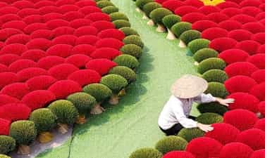 An Incense Village in the Heart of Hanoi, Beautifully Evoking Hue's Charm, That Leaves Travelers Utterly Spellbound.