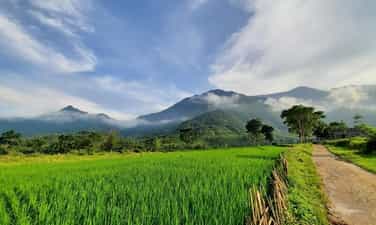 Hoàng Nông Farm