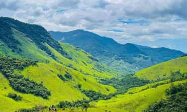 Ta Giang