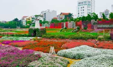 日新旅游区