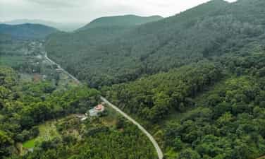 タインホア省の秘宝！東南アジア最大のセンの森、その息をのむ絶景に迫る