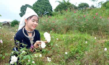 Khau Trang village community tourism site