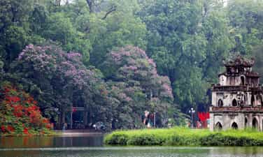 Mùa sen về phố