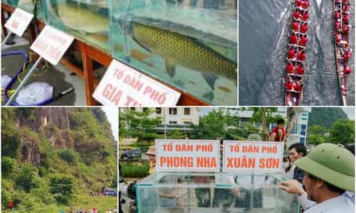 Đặc sắc hội thi cá Trắm và đua thuyền ở sông Son